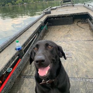 Meet your Posher, Austin